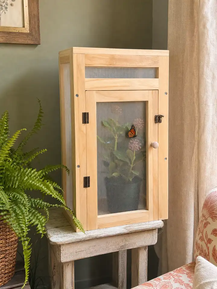 Wood frame butterfly habitat in a warm home nature corner