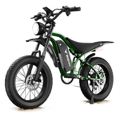 BIGNIU BG-S Electric Bike