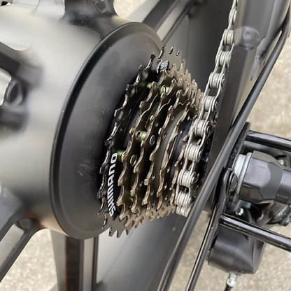 M600 TWO SITTER BLACK - EbikesPlug