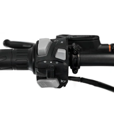 SRPNT - MONSTER PURPLE - EbikesPlug