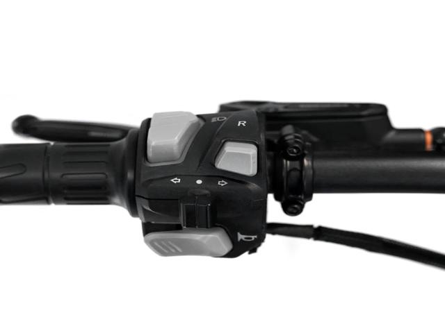 SRPNT - MONSTER BLACK - EbikesPlug