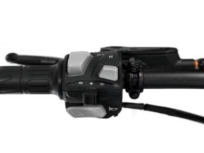 SRPNT - MONSTER BLACK - EbikesPlug