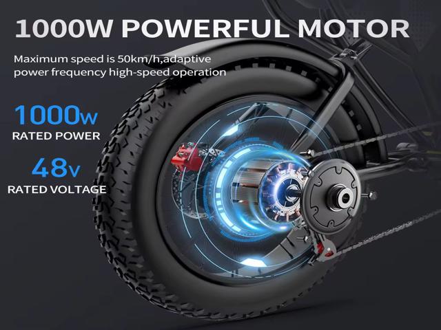 RIDSTAR Q20 1200W - EbikesPlug