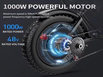 RIDSTAR Q20 1200W - EbikesPlug