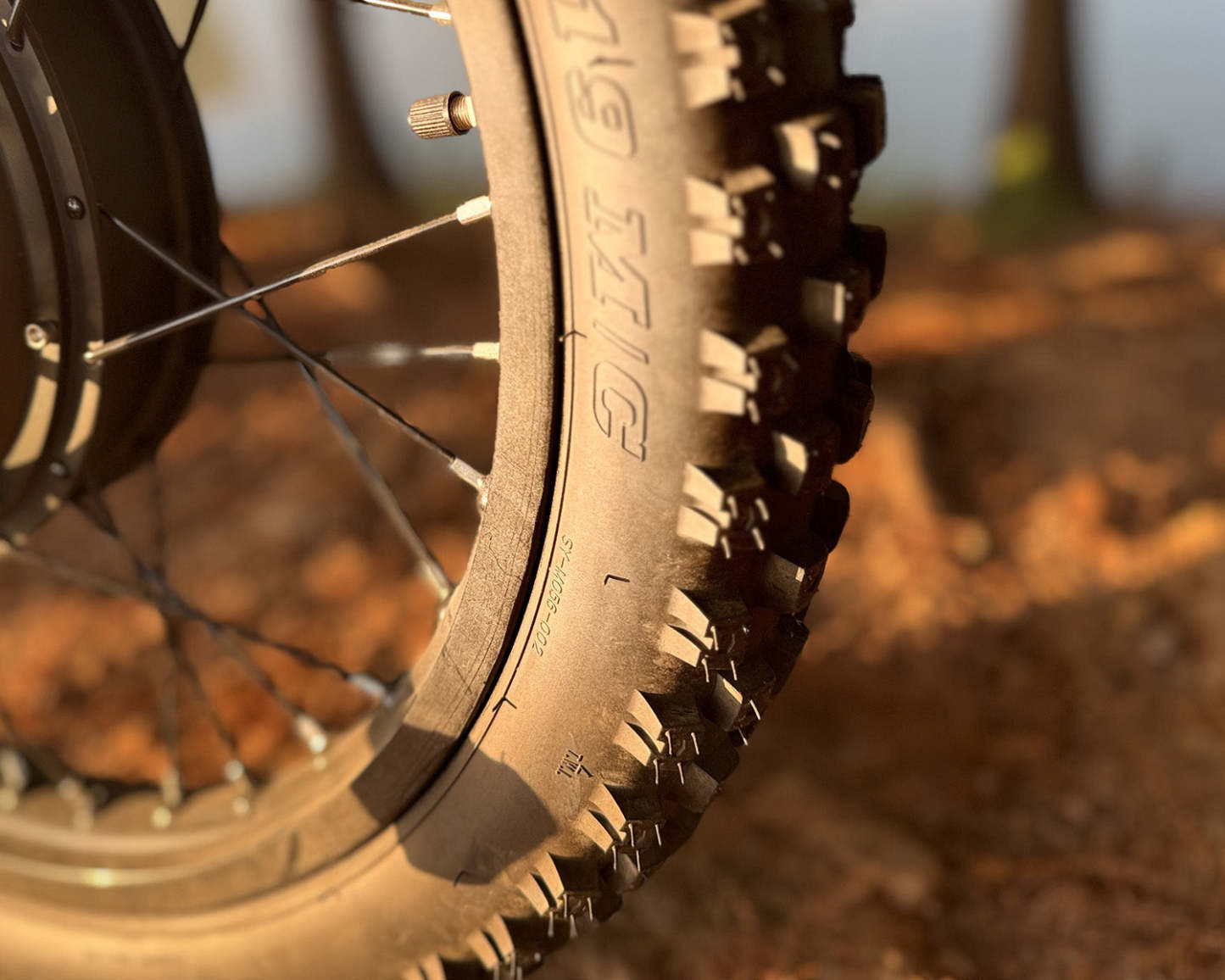 BIGNIU BG-S Pro Electric Bike