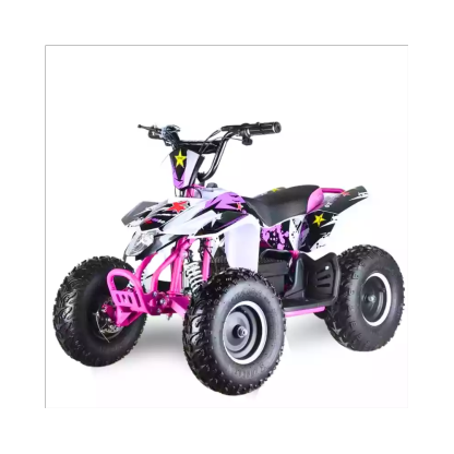 MINI QUAD ELÉCTRICO RX STAR 1000w 36v