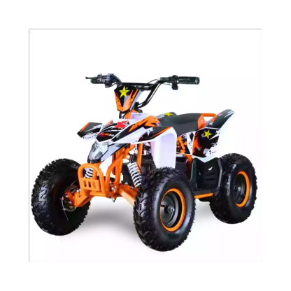 MINI QUAD ELÉCTRICO RX STAR 1000w 36v