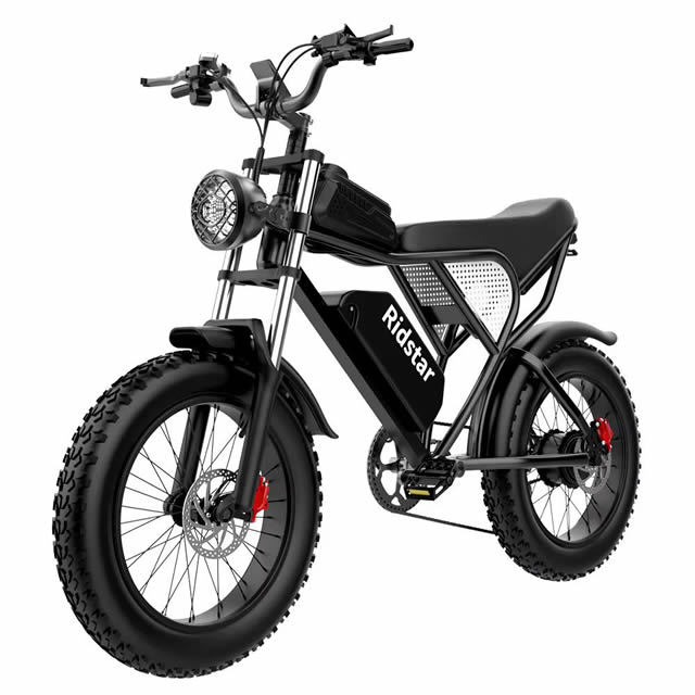 RIDSTAR Q20 1200W - EbikesPlug