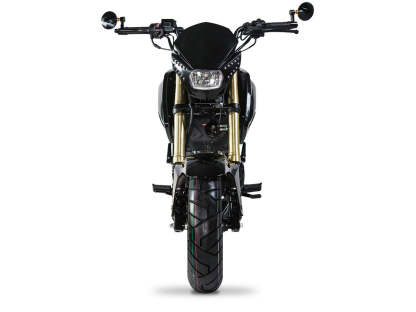 Ice Bear PMZ125-1, FuerzaDeluxe 4 Speed Manual Trans, 12 inch rims Dual Disk Brakes, Legal!