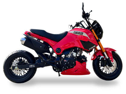 Ice Bear PMZ125-1, FuerzaDeluxe 4 Speed Manual Trans, 12 inch rims Dual Disk Brakes, Legal!