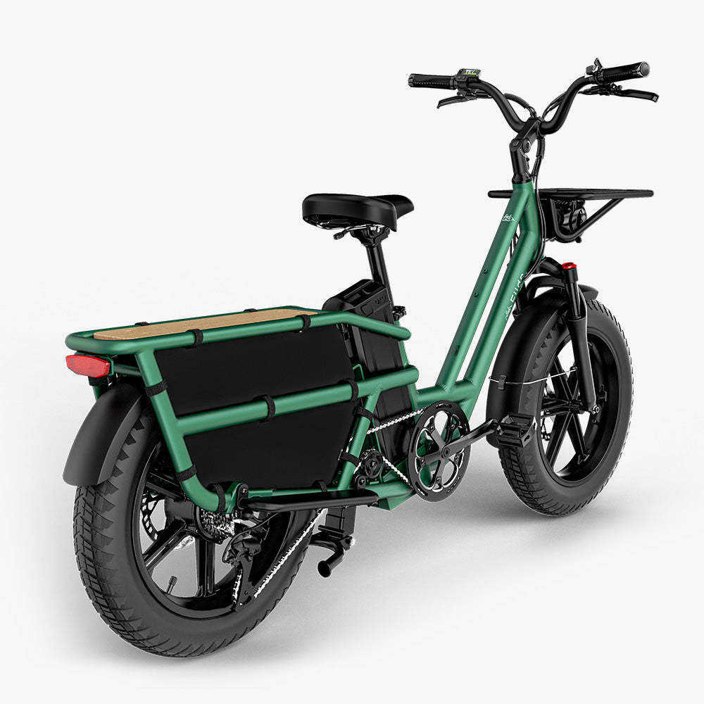 Fiido T2 Elektryczny rower cargo typu longtail Fatbike
