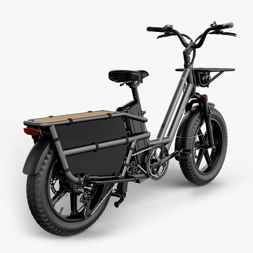 Fiido T2 Elektryczny rower cargo typu longtail Fatbike
