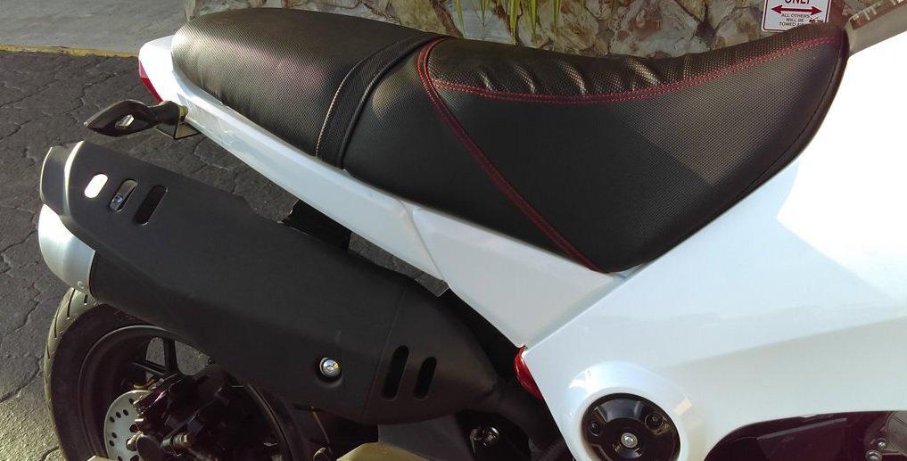 Ice Bear PMZ125-1, FuerzaDeluxe 4 Speed Manual Trans, 12 inch rims Dual Disk Brakes, Legal!