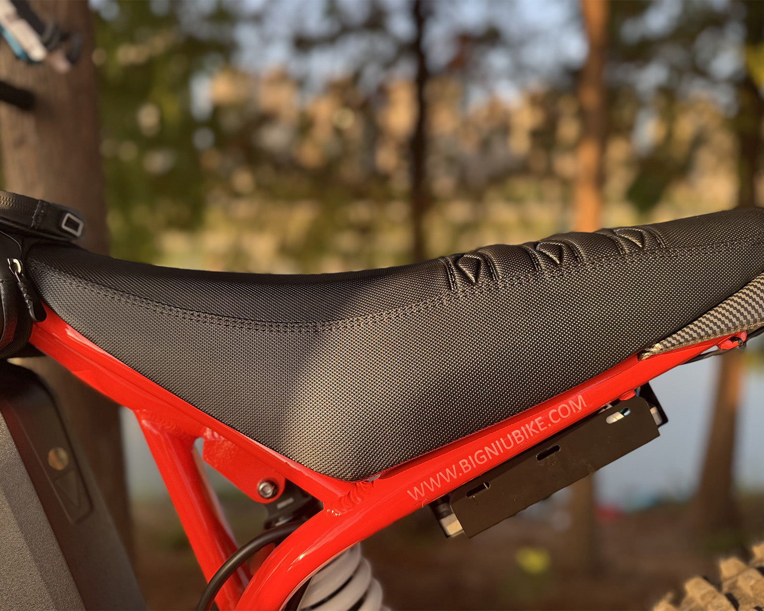 BIGNIU BG-S Pro Electric Bike