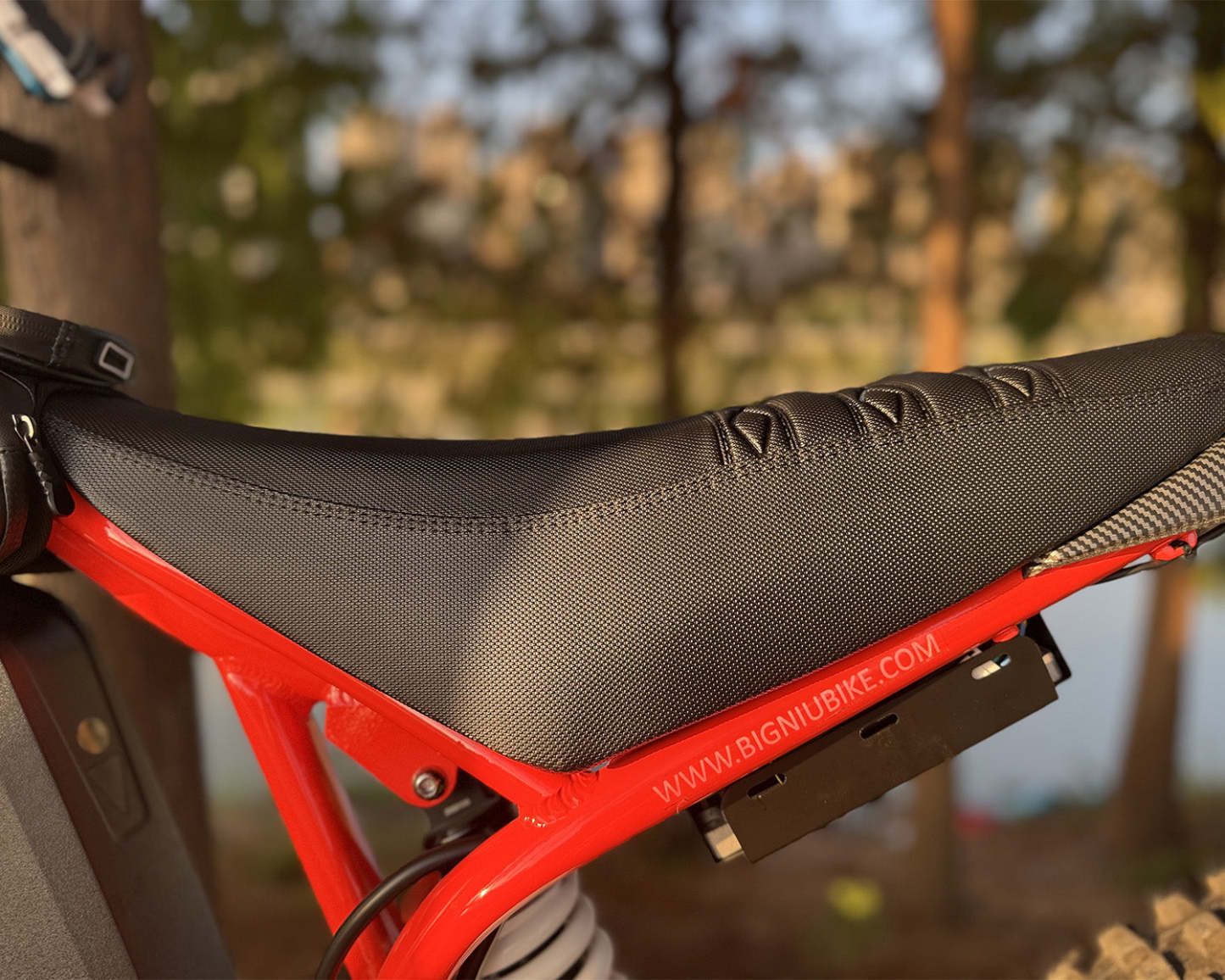 BIGNIU BG-S Pro Electric Bike