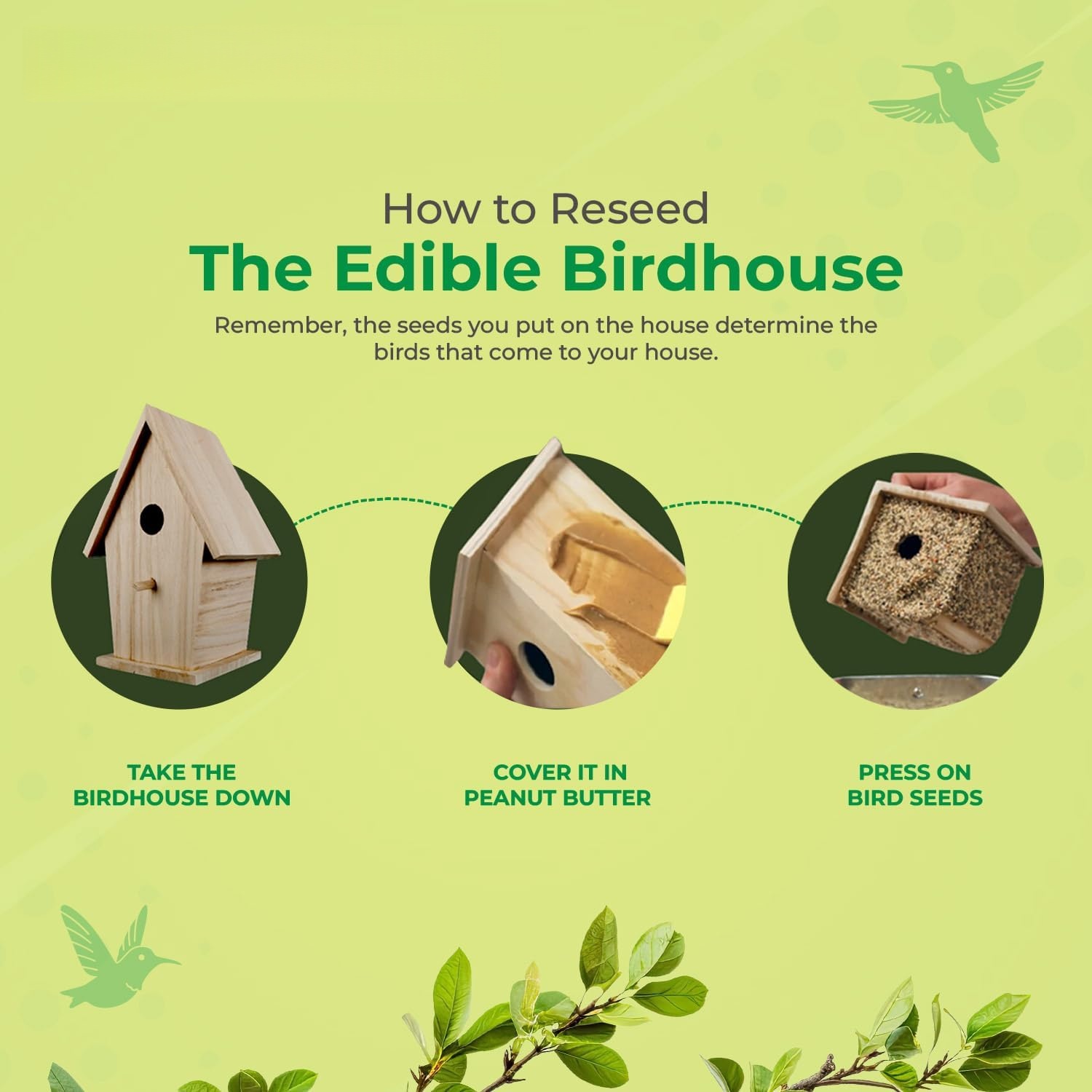 2-in-1 Edible Birdhouse & Wild Bird Feeder | Squirrel-Resistant 🐦🏠