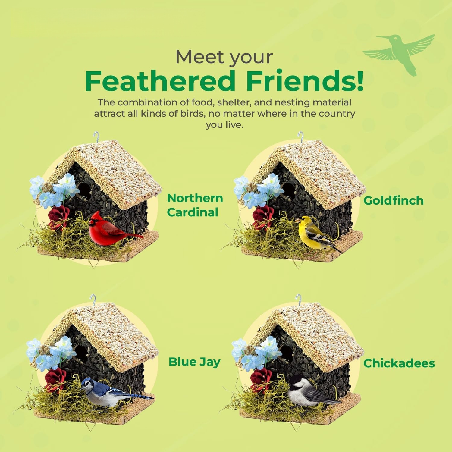 2-in-1 Edible Birdhouse & Wild Bird Feeder | Squirrel-Resistant 🐦🏠