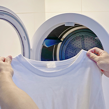 110V Portable Dryer