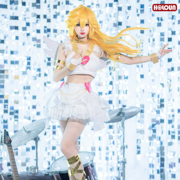 HOLOUN Stocking Panty Anime Panty Anarchy Cosplay Costume Wig Top Skirt  Cos Convention Daily Wear Halloween