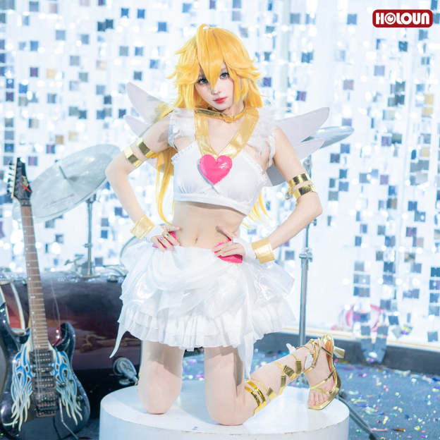HOLOUN Stocking Panty Anime Panty Anarchy Cosplay Costume Wig Top Skirt  Cos Convention Daily Wear Halloween