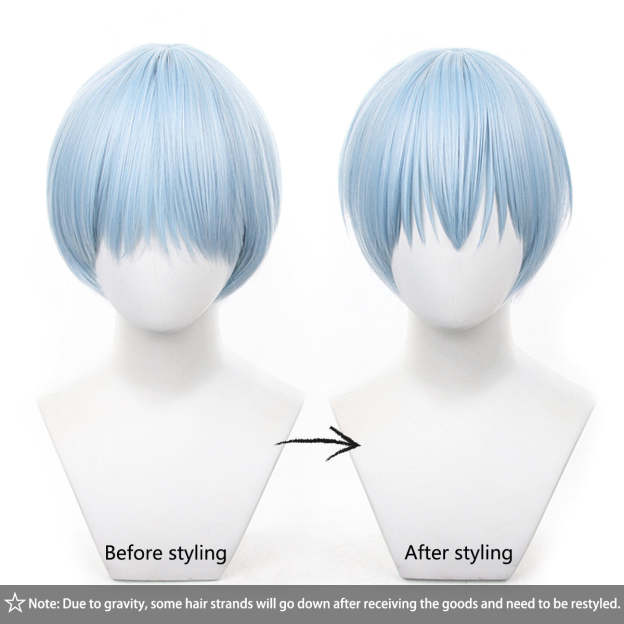 HOLOUN Frieren Beyond Journey's End Anime Himmel Cosplay Wig Rose Net Synthetic Fiber Adjustable Size Halloween Christmas Gift