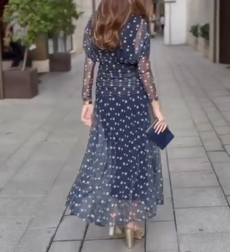 Navy Blue Polka Dot Mesh Dress