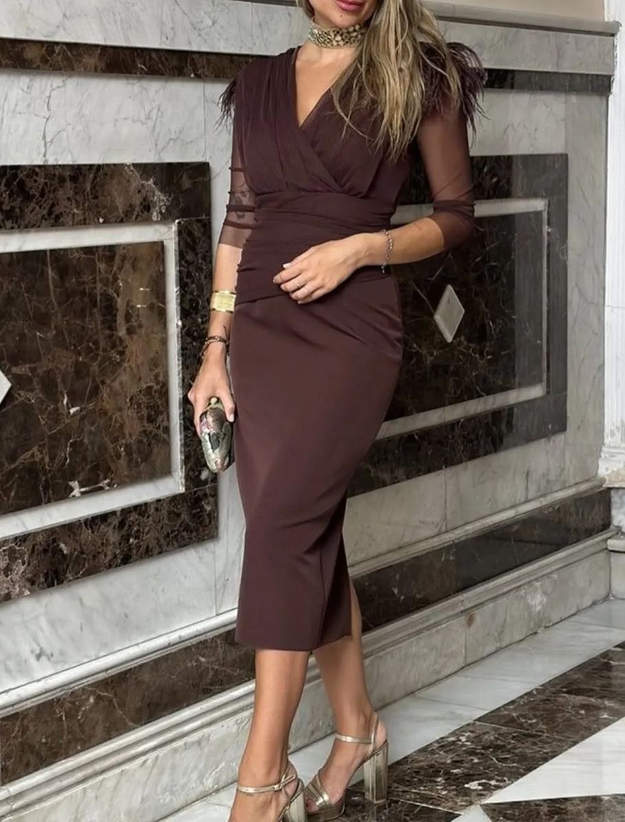 Dark Brown Mesh Dress with Feather Trim