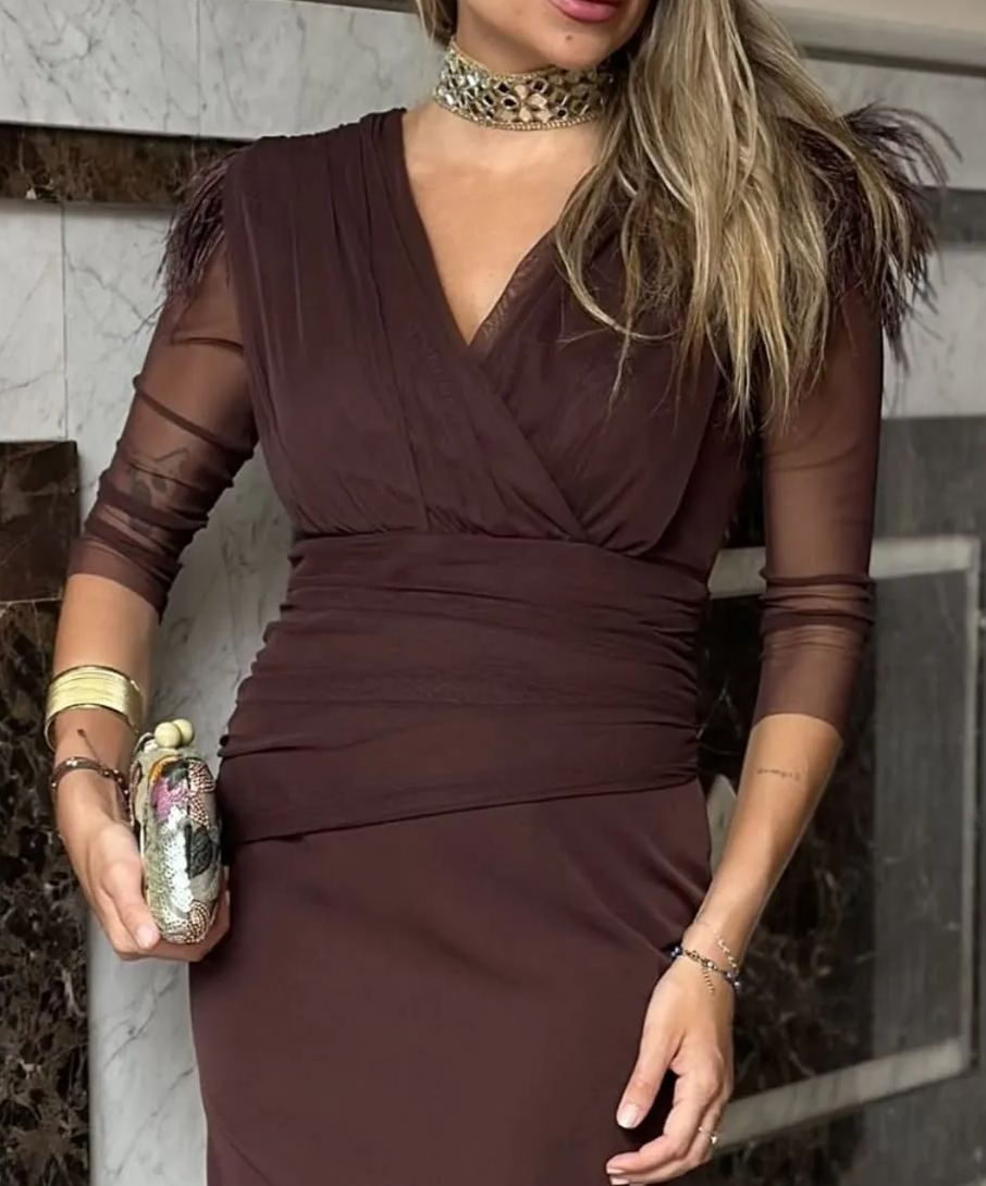 Dark Brown Mesh Dress with Feather Trim