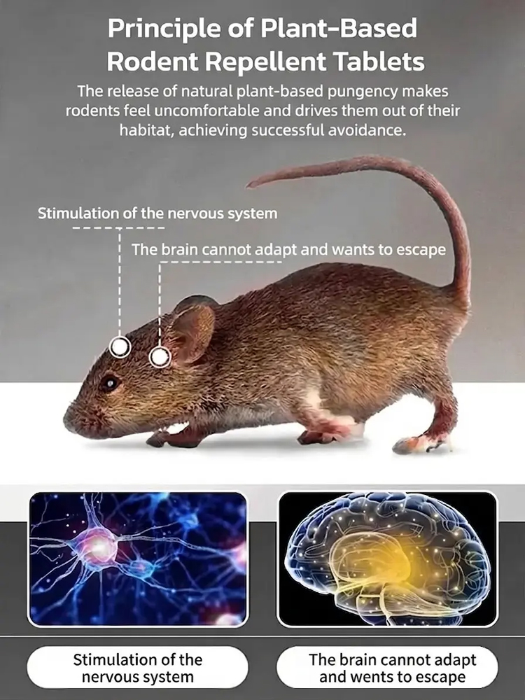 [Eliminate the Entire Mice Nest] All-Purpose Rat Repellent Box