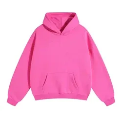 Factory Wholesale Pullover Hoodies Sweatshirts Streetwear Tracksuits 100% Cotton Heavyweight Puff Printing Hoodie