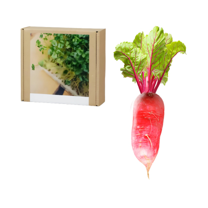 Gesundheit Anti-Krebs Familiengemüse-Set