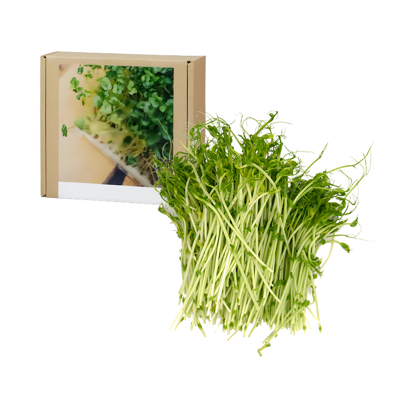 Gesundheit Anti-Krebs Familiengemüse-Set