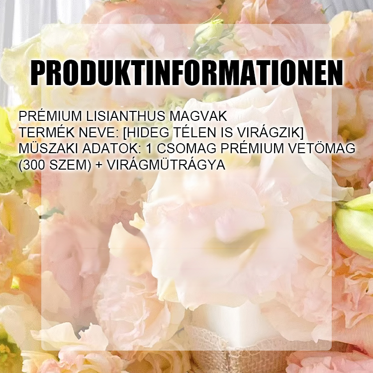 Selbst in kalten Wintern blühen sie – Lisianthus-Samen höchster Qualität