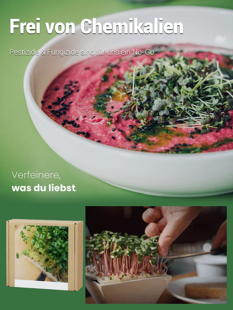 Gesundheit Anti-Krebs Familiengemüse-Set