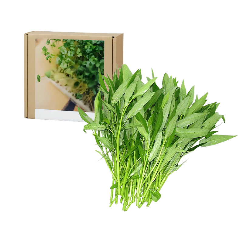 Gesundheit Anti-Krebs Familiengemüse-Set