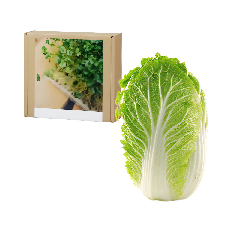 Gesundheit Anti-Krebs Familiengemüse-Set