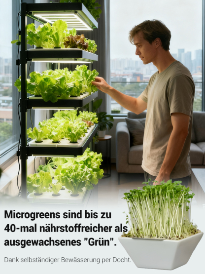 Gesundheit Anti-Krebs Familiengemüse-Set