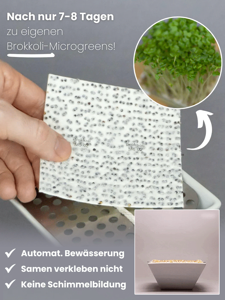 Gesundheit Anti-Krebs Familiengemüse-Set