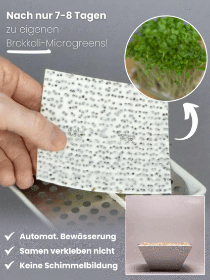 Gesundheit Anti-Krebs Familiengemüse-Set