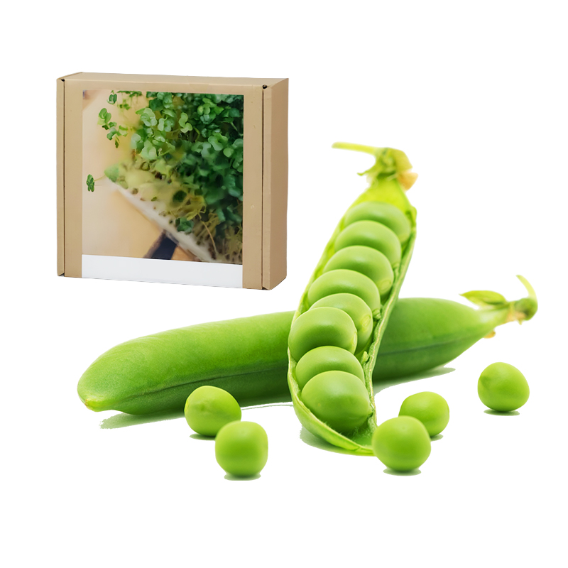 Gesundheit Anti-Krebs Familiengemüse-Set