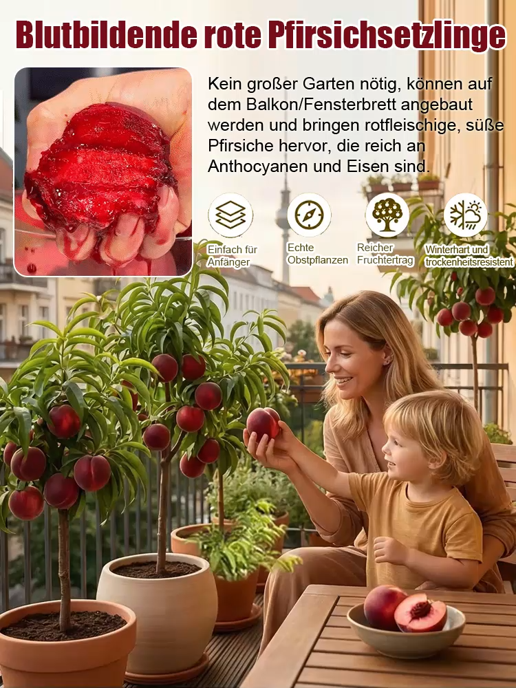 ❄️Frostresistent bis -15 °C！Robuste und pflegeleichte rote Pfirsichsetzlinge | Reich an natürlichen Antioxidantien | GRATIS Pflanzanleitung dabei!🎁