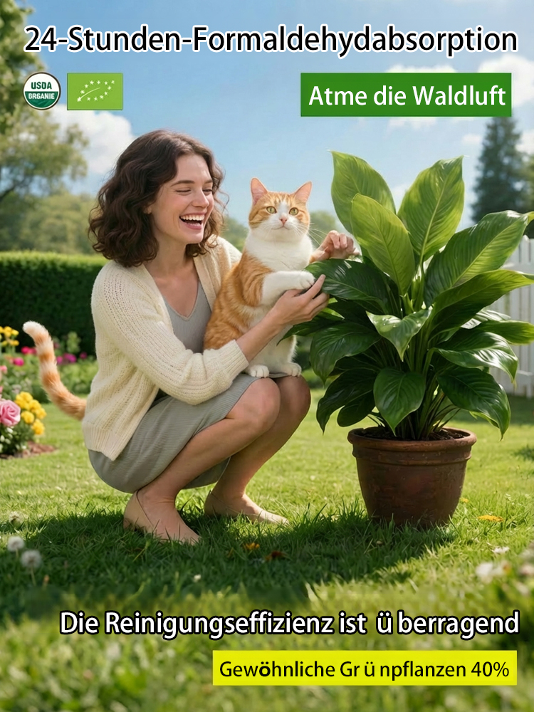 🍃“Der Luftreiniger ohne Strom”, Golden Diamond Green Pflanzen, Keine Sonnenstrahlen nötig, Absorbiert Schadstoffe geräuschlos！