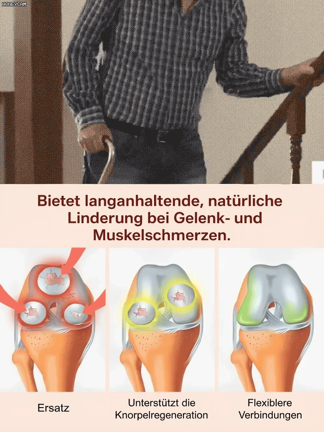 【100% Anwachsgarantie】 4J XXL Regina Süßkirschbaum | Kräftige 2-jährige Setzlinge | Ernte bereits im ersten Jahr | Ideal für Balkon und Garten | Winterhart bis -20°C 🍒