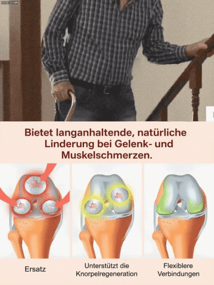 【100% Anwachsgarantie】 4J XXL Regina Süßkirschbaum | Kräftige 2-jährige Setzlinge | Ernte bereits im ersten Jahr | Ideal für Balkon und Garten | Winterhart bis -20°C 🍒