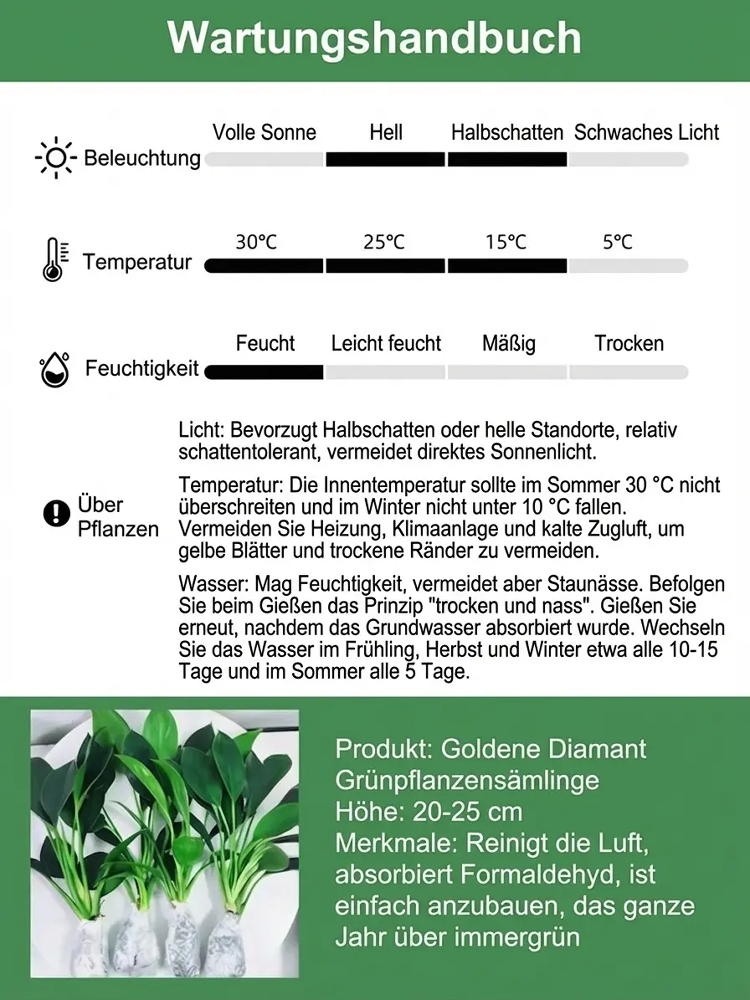 🍃“Der Luftreiniger ohne Strom”, Golden Diamond Green Pflanzen, Keine Sonnenstrahlen nötig, Absorbiert Schadstoffe geräuschlos！