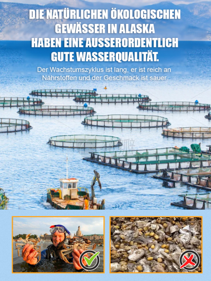 Knusprige Meereskrabben, essfertige kleine Krabben-Niedrigtemperatur-Backverfahren – würzig, knusprig und voller Geschmack!