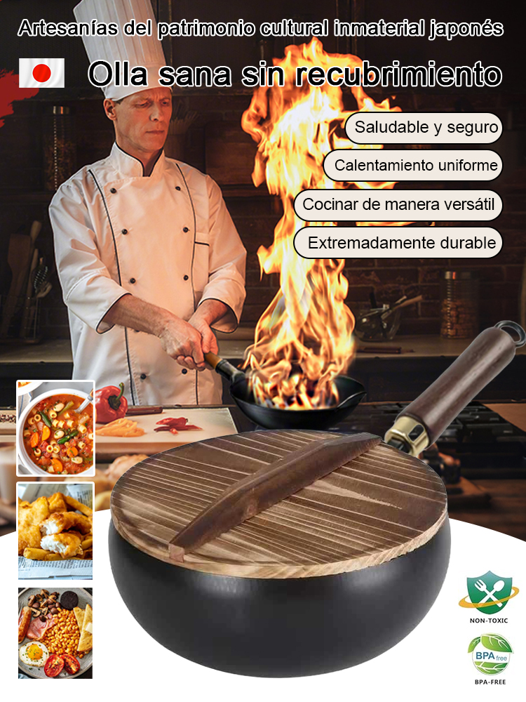 Olla de hierro puro sin recubrimiento - Patrimonio Cultural Inmaterial de Japón