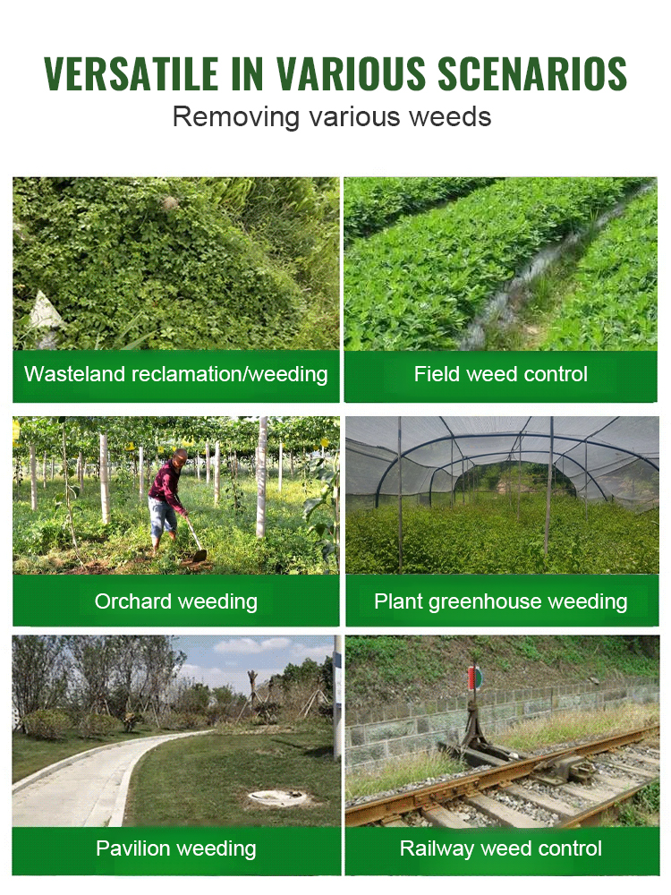 【Powerful Root-Killing Herbicide】✨ Weeds vanished within just one day ✅ Replanting possible after only 3 days 👍 No need to weed all year round