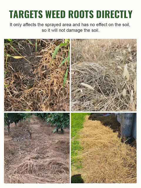 【Powerful Root-Killing Herbicide】✨ Weeds vanished within just one day ✅ Replanting possible after only 3 days 👍 No need to weed all year round