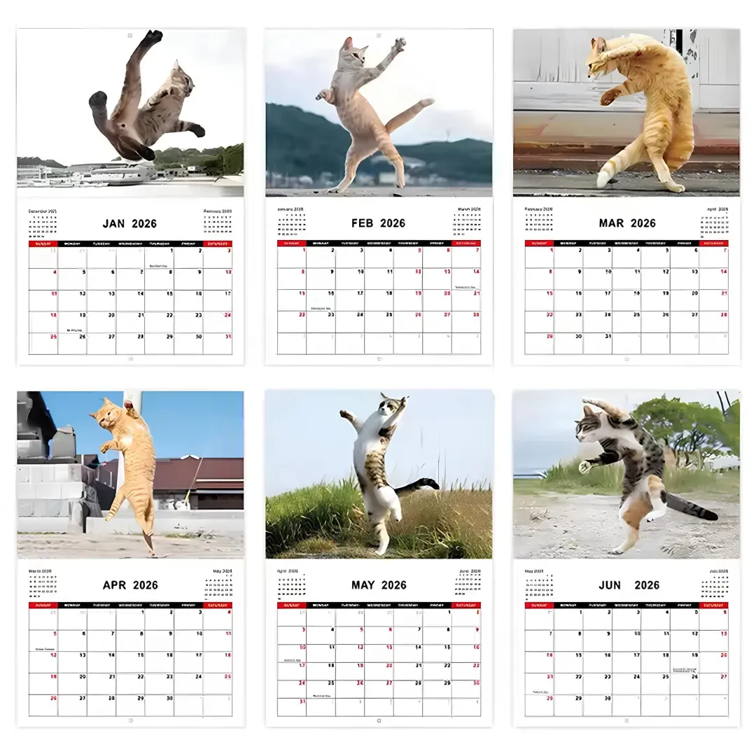 2026 Kung Fu Cat Calendar
